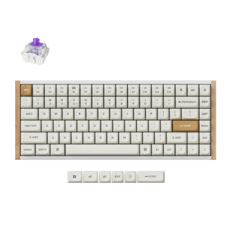 Keychron K2 HE Wireless Special Edition Magnetic Custom Keyboard | NEBULA Switch – White | Randcore