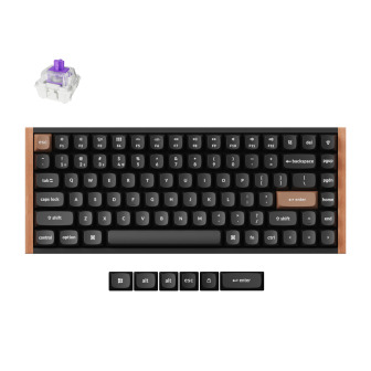 Keychron K2 HE Wireless Special Edition Magnetic Custom Keyboard | NEBULA Switch – Black | Randcore