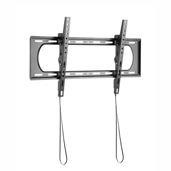 WINX MOUNT Max Tilt TV Bracket | Randcore