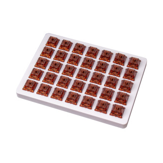 Keychron Brown Gateron Phantom Switches 110 pcs | Randcore